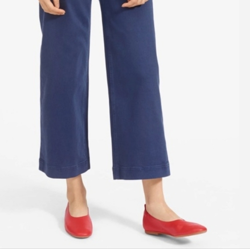 Everlane The Day Glove Flats Size 8.5 EUC